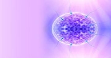 Myths about getting pregnant